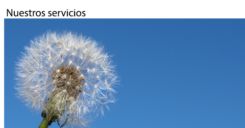 Servicios de Ruisan Aire Acondicionado